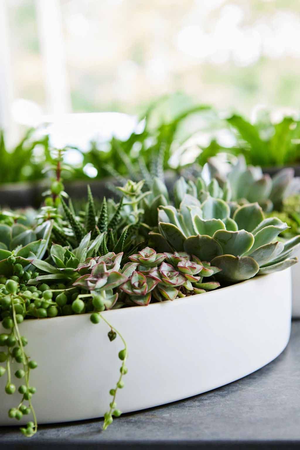 Greenwich, CT Floral Gallery Winston Flowers